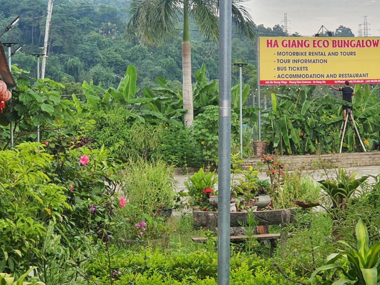 Eco lều
