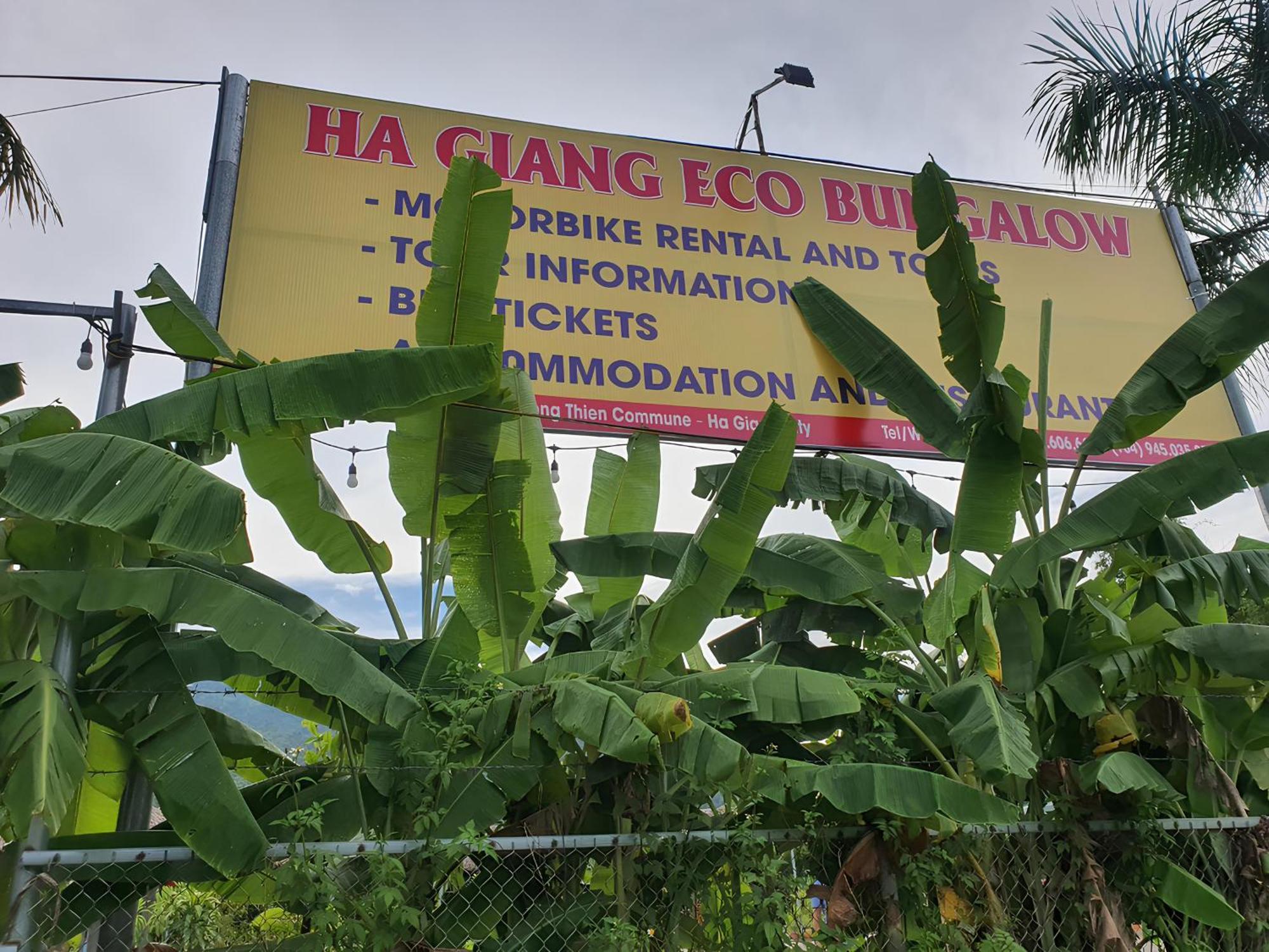 Eco *